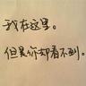 中美元首握手